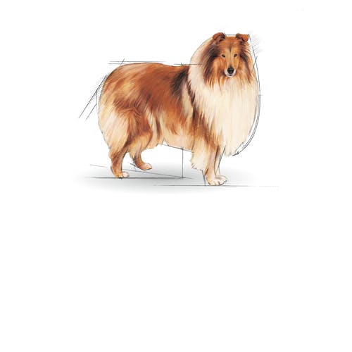 loading image