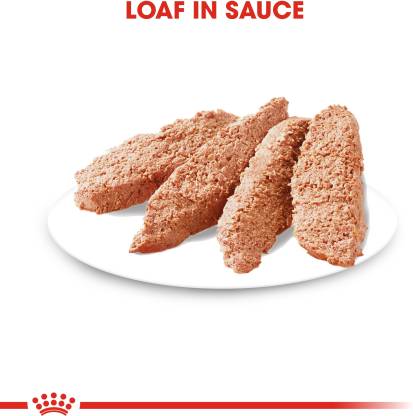 loading image